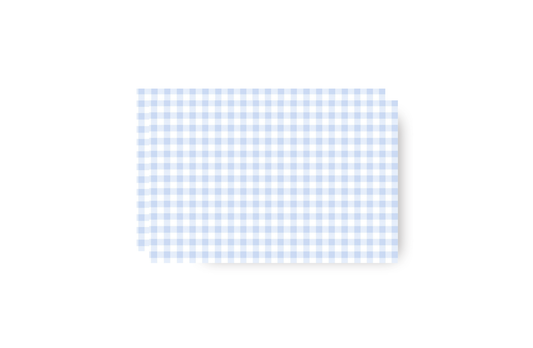 Blue Gingham and Mint border personalized placemat
